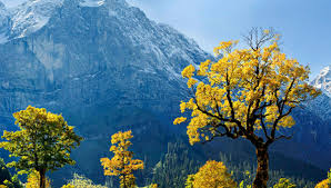 Nature entry 2